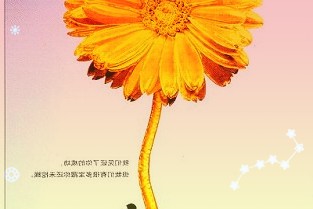 力盛赛车2021年恢复增长新发展战略同步“上线”